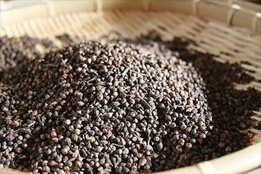 Vì sao nên chuẩn bị sẵn than hoạt tính trong ngày lễ Tết?