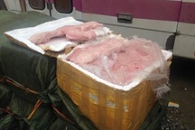 Tìm chủ nhân 3,5 tấn nầm lợn bị "bỏ quên" ở Quảng Ninh