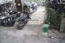 Cổ thụ cao 20m ở TPHCM bật gốc chực đổ vào nhà, cư dân hồi hộp từng giờ