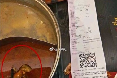 Thực khách “hết hồn” khi thấy xác chuột chết trong nồi lẩu của nhà hàng Trung Quốc