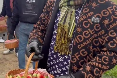 Du khách trải nghiệm hái dâu tây ở Sapa