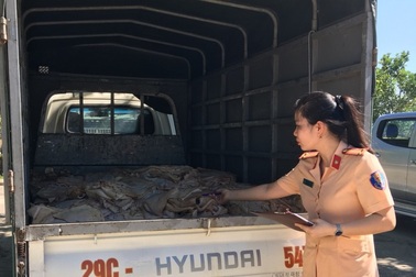 Chở 1 tấn thực phẩm bốc mùi hôi thối từ Hà Nội vào Thanh Hóa tiêu thụ