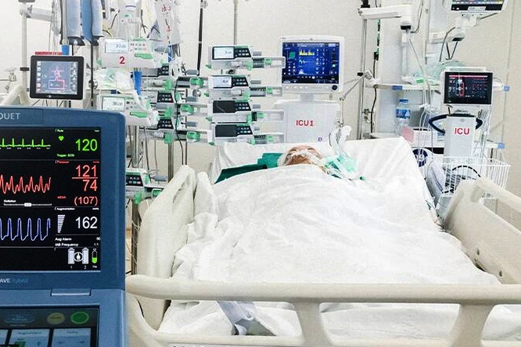 Người đàn ông ở TPHCM nguy kịch sau khi ăn hàu sống - 1 Người đàn ông ở TPHCM nguy kịch sau khi ăn hàu sống - 1
