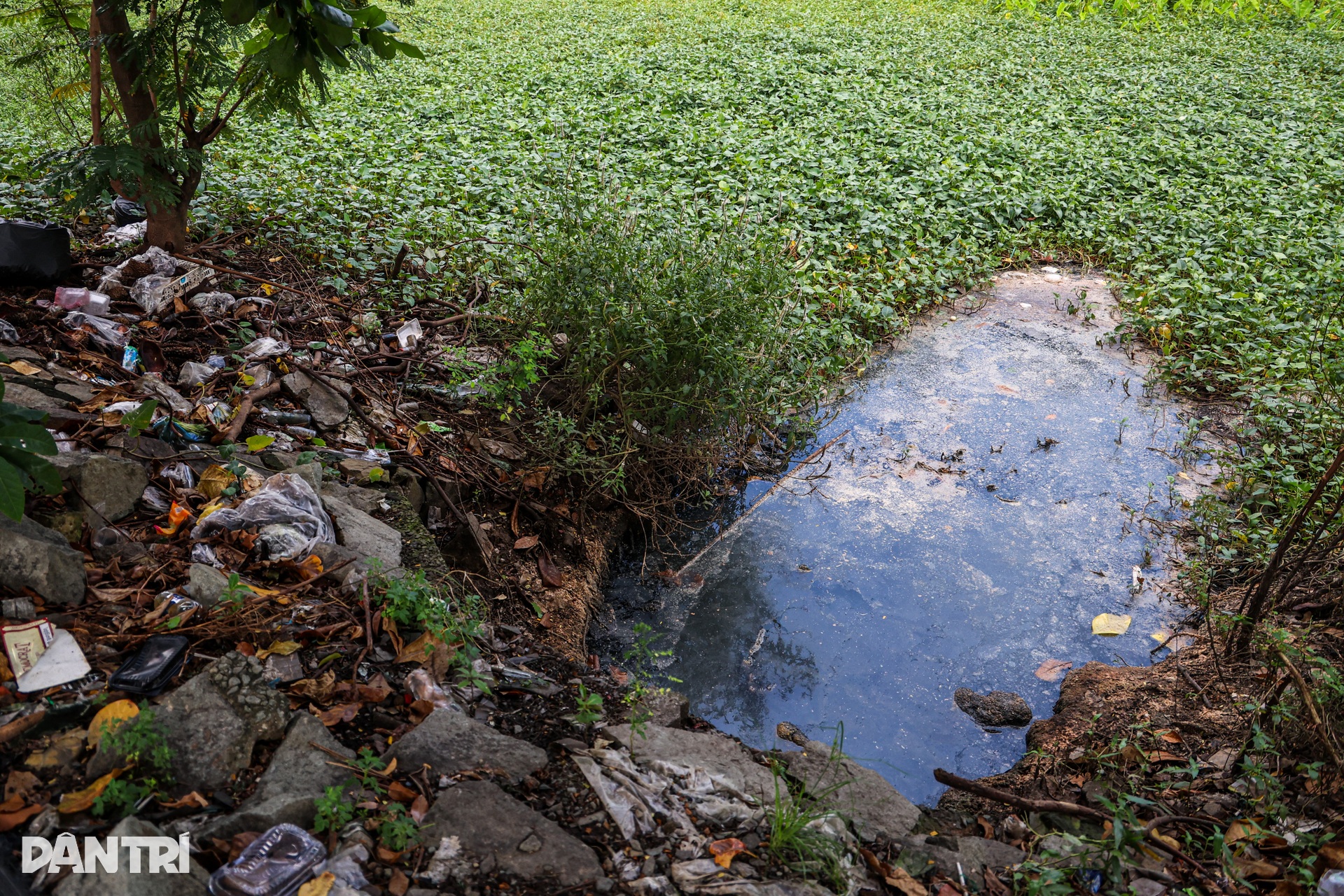 Rạch dài gần 2km sắp được khơi thông bên tuyến đường vào trung tâm TPHCM - 4