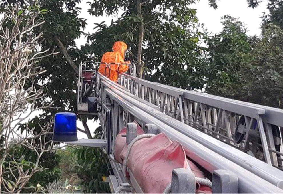 Cảnh sát dùng xe thang, mặc bảo hộ kín mít bắt nhiều tổ ong vò vẽ khủng - 2 Cảnh sát dùng xe thang, mặc bảo hộ kín mít bắt nhiều tổ ong vò vẽ khủng - 2