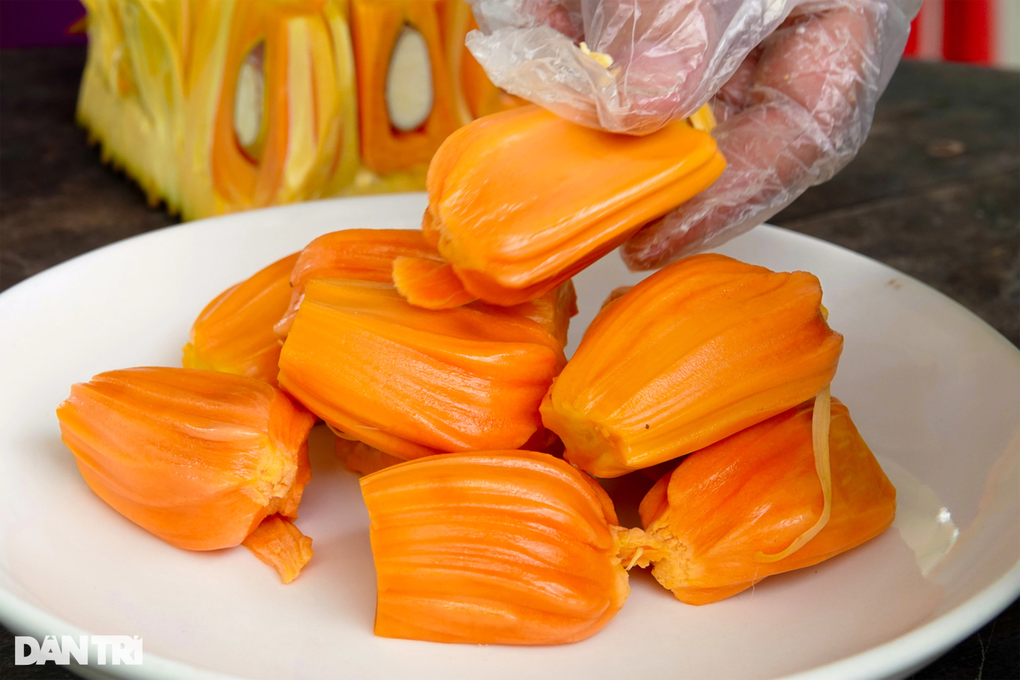 Kỹ sư 10X giúp cha mẹ kiếm nửa tỷ mỗi năm nhờ trồng mít ruột đỏ - 5 Kỹ sư 10X giúp cha mẹ kiếm nửa tỷ mỗi năm nhờ trồng mít ruột đỏ - 5