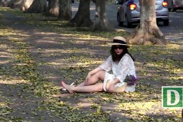 "Phố lá vàng rơi" siêu lãng mạn ở Hà Nội thu hút người chụp ảnh