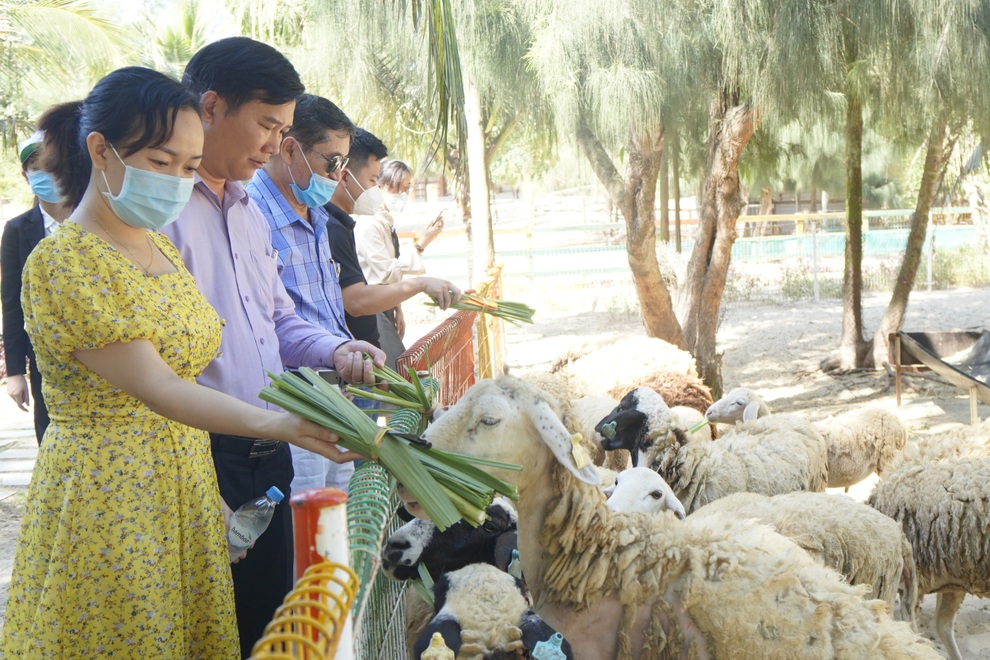Nhiều doanh nghiệp du lịch chết lâm sàng… vì Covid-19 - 3 Nhiều doanh nghiệp du lịch chết lâm sàng… vì Covid-19 - 3