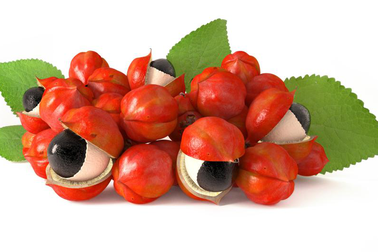 Thêm một loại hạt có công dụng giúp tỉnh táo, tăng cường năng lượng