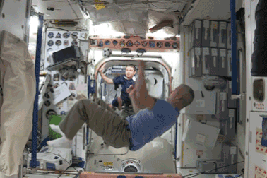 Các phi hành gia sẽ bị ảnh hưởng thế nào trong môi trường không trọng lực