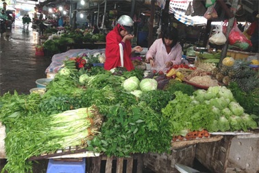 Hà Nội: Giật mình mớ rau muống đắt ngang 3 lạng thịt