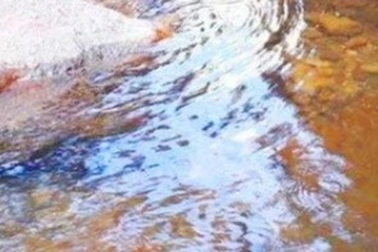 Người đàn ông nghi bị một phụ nữ sát hại dã man