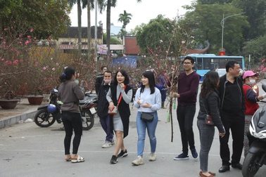 Nhộn nhịp người mua sắm tại chợ hoa tết đường Lạc Long Quân