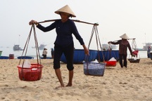 Làm mắm ngay trên bờ biển, nghề thời vụ thu nhập 500.000 đồng/ngày