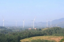 Kiến nghị công an điều tra dự án điện gió gây ảnh hưởng đến rừng phòng hộ