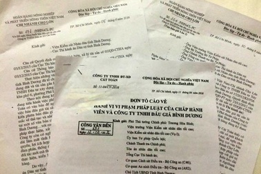 Mập mờ đấu giá dự án “khủng” của đại gia Bình Dương