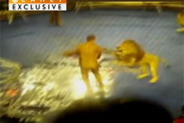 Hãi hùng cảnh sư tử nhảy bổ vào huấn luyện viên giữa sân khấu 