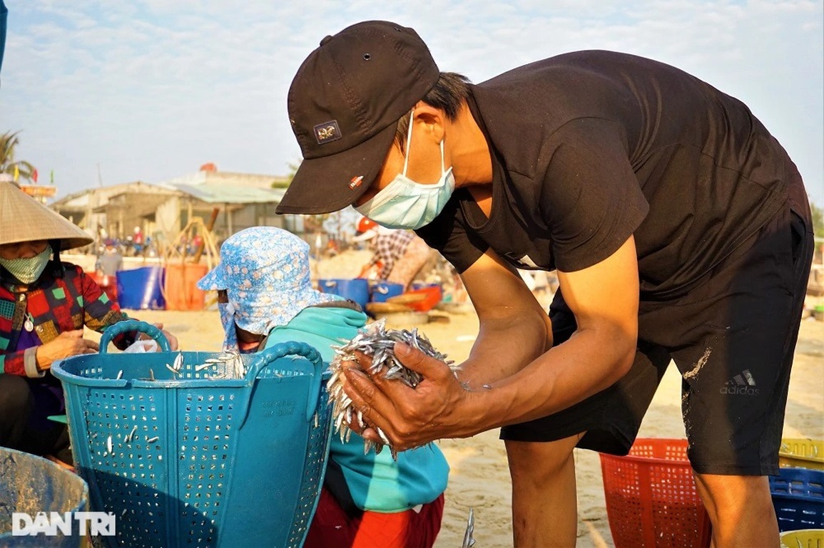 Trúng đậm những mẻ cá tí hon, ngư dân kiếm tiền triệu sau vài giờ ra khơi - 8 Trúng đậm những mẻ cá tí hon, ngư dân kiếm tiền triệu sau vài giờ ra khơi - 8