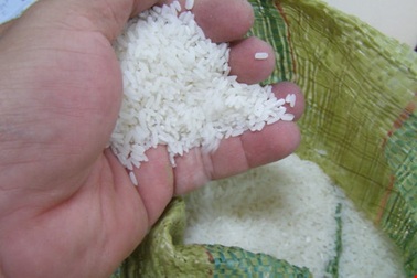 Làm rõ nguyên nhân cơm để ba ngày không thiu