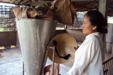 Giá cả, dịch bệnh leo thang, người chăn nuôi heo muốn bỏ nghề