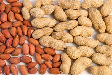 Món nhâm nhi của dân nhậu lại là thực phẩm bảo vệ tim mạch, chống ung thư