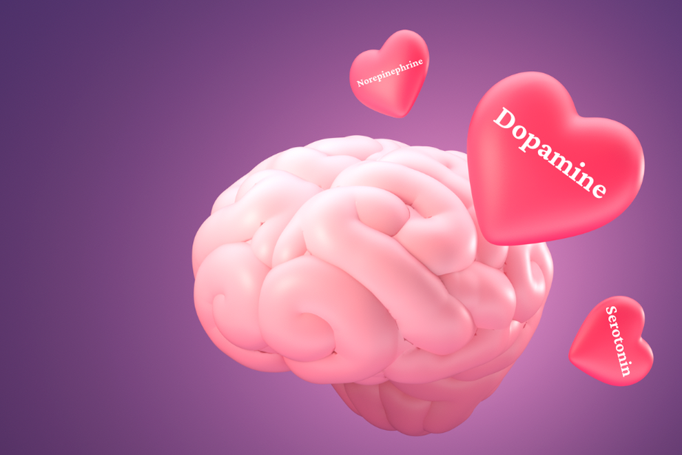 Khoa học giải mã nỗi ám ảnh mang tên người yêu cũ - 1