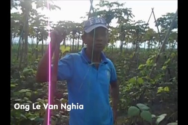 Làng rau Bàu Tròn bị thiệt hại nặng