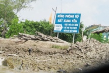 UBND tỉnh Cà Mau chỉ đạo xử lý vụ “lâm tặc” đâm vỏ lãi vào cán bộ quản lý rừng