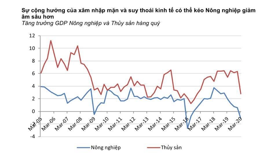 Việt Nam có nguy cơ tăng trưởng âm, điều mà khủng hoảng 2009 chưa xảy ra - 4 Việt Nam có nguy cơ tăng trưởng âm, điều mà khủng hoảng 2009 chưa xảy ra - 4