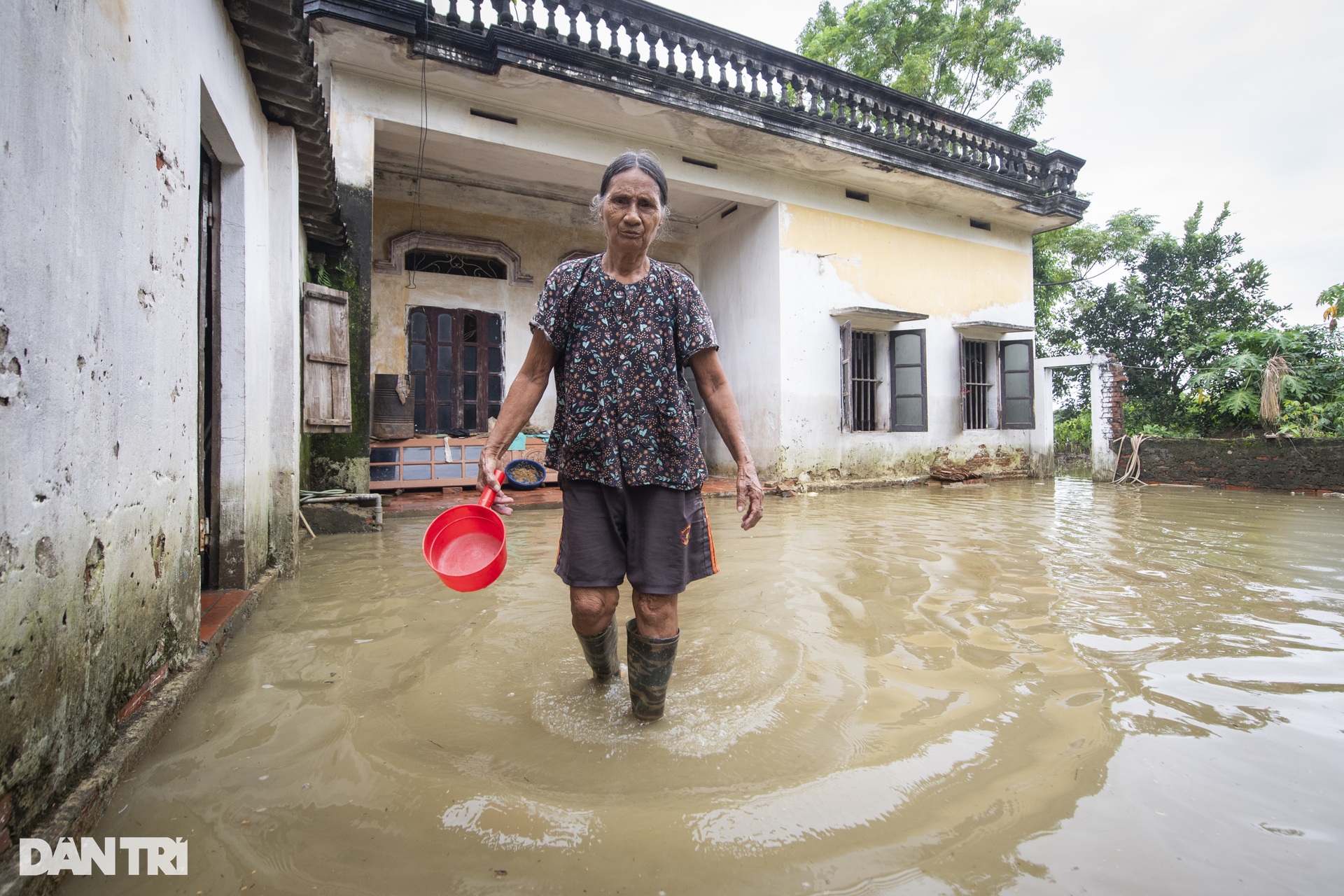 Hà Nội: Dân không dám tắm, gãi ngày đêm nơi 10 ngày ngập giữa biển nước - 3