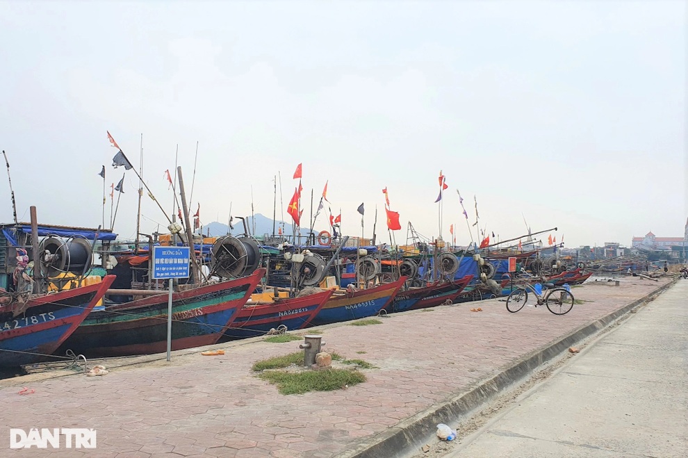 Mỗi chuyến ra khơi 2 ngày đêm, thu nhập ngư dân chỉ đạt khoảng 100.000 đồng - 4 Mỗi chuyến ra khơi 2 ngày đêm, thu nhập ngư dân chỉ đạt khoảng 100.000 đồng - 4