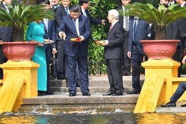 Chủ tịch Trung Quốc Tập Cận Bình cho cá ăn trong khu Nhà sàn Bác Hồ