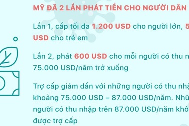 Những nước nào hỗ trợ tiền mặt cho người dân trong đại dịch Covid-19