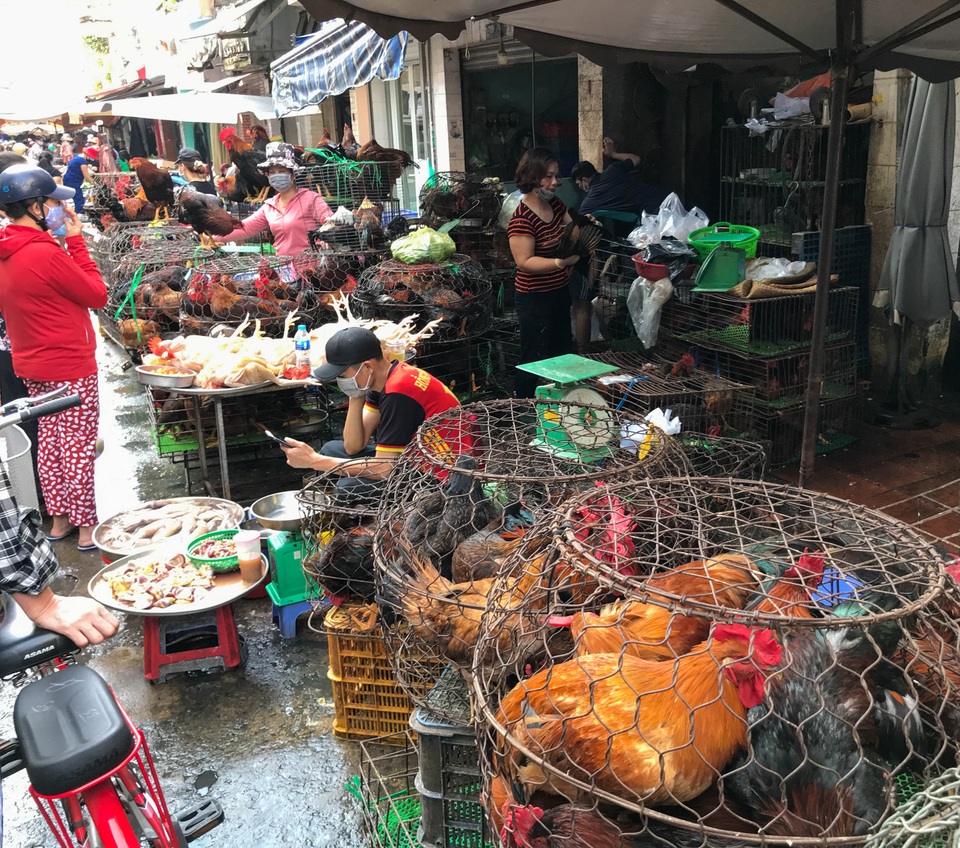 Hốt bạc từ gà, 6 người bán từ sáng đến khuya, không kịp về quê ăn Tết - 2 Hốt bạc từ gà, 6 người bán từ sáng đến khuya, không kịp về quê ăn Tết - 2