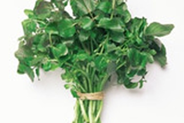 Ăn cải xoong ngừa ung thư