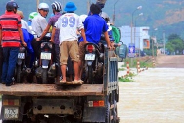 Bình Định: Dân sợ băng dòng lũ, xe tải kiếm tiền triệu mỗi ngày
