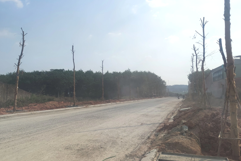 Dân ngăn cản lu đường vì nhà xuất hiện nhiều vết nứt - 4