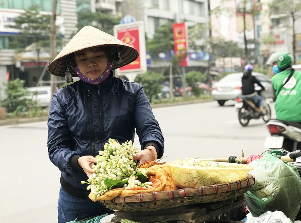 Hoa bưởi xuống phố, khách giành nhau từng chùm - 3 Hoa bưởi xuống phố, khách giành nhau từng chùm - 3