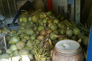 Phát hiện tẩy trắng dừa nước bằng hóa chất công nghiệp