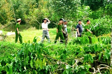 Truy lùng sát thủ sát hại bố mẹ Chủ tịch xã