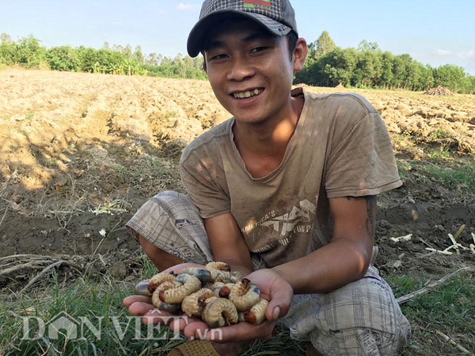 Đào con nhìn thấy ghê, nông dân Việt kiếm tiền triệu mỗi ngày - 11 Đào con nhìn thấy ghê, nông dân Việt kiếm tiền triệu mỗi ngày - 11