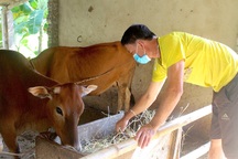 Nghệ An: Huyện biên giới với nhiều giải pháp giúp người dân thoát nghèo