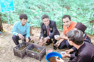 “Ông mối” Quyền Linh hẹn hò Sapa trong chiến dịch mới