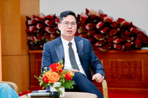 Có bằng đại học, tại sao không xin được việc?