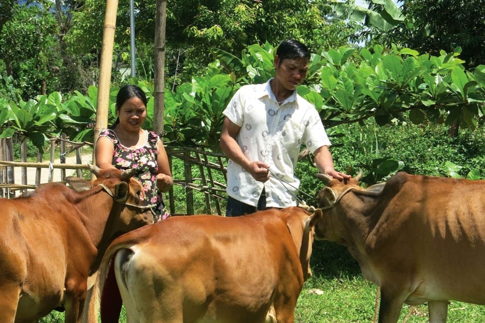 Thừa Thiên Huế: Tạo ra nhiều mô hình giảm nghèo bền vững - 3 Thừa Thiên Huế: Tạo ra nhiều mô hình giảm nghèo bền vững - 3