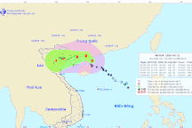 EVN ứng phó cơn bão số 3 (Wipha) và cảnh báo về an toàn điện trong mùa mưa bão