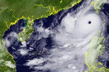 Bão Saola vào Biển Đông, sóng cao 10m
