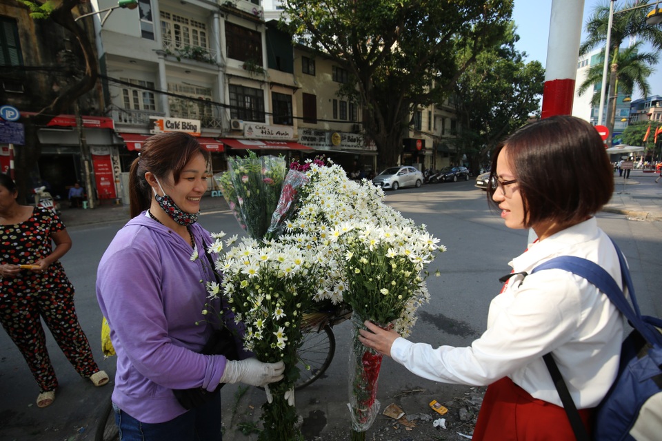 Cúc họa mi bung nở đón đông, rợp đường Hà Nội - 13 Cúc họa mi bung nở đón đông, rợp đường Hà Nội - 13