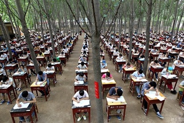 Trường học tổ chức thi cuối kỳ... trong rừng để tránh nóng