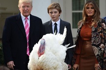 Tổng thống Trump lần đầu “tha bổng” gà tây ở Nhà Trắng